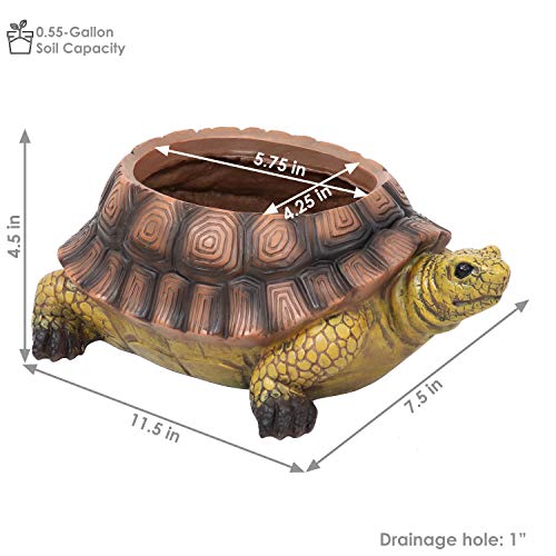 Sunnydaze Teddy The Turtle 11