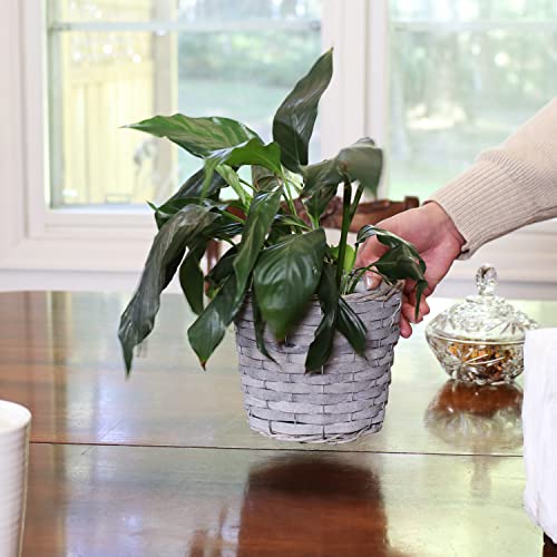 Sunnydaze 5-Piece Wicker Planter Basket Set - Indoor Use Only - Plastic Lined Flower Pots - Gray Poplar Construction with Steel Wire Frame - 6.75-Inch Diameter
