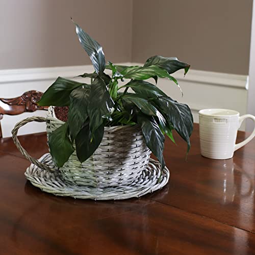 Sunnydaze Willow Wicker Coffee Cup Basket Planters - for Indoor Use Only - Set of 2 - Gray - Unique Teacup Shape - Features a Steel Wire Frame and Attached Plastic Liner