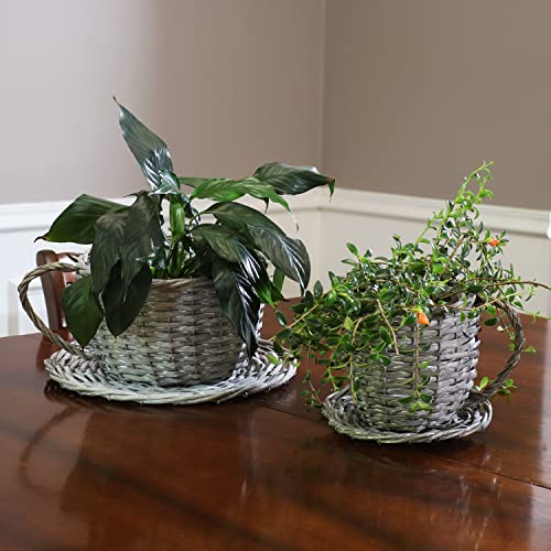 Sunnydaze Willow Wicker Coffee Cup Basket Planters - for Indoor Use Only - Set of 2 - Gray - Unique Teacup Shape - Features a Steel Wire Frame and Attached Plastic Liner