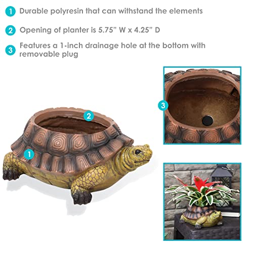 Sunnydaze Teddy The Turtle 11