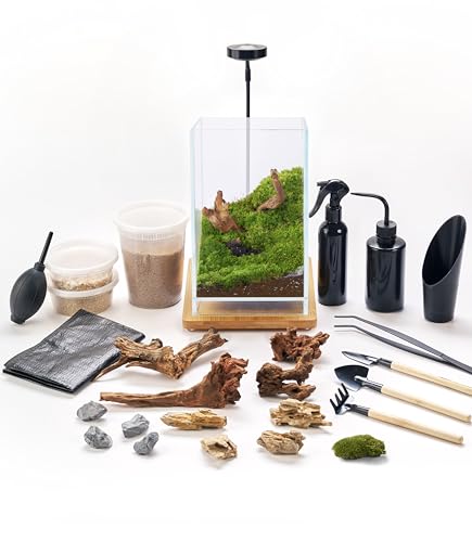 27 PCS Glass Plant Terrarium Kit with LED Grow Light– DIY Moss Terrarium Kit for Adults, Mini Garden Set for Succulent, Real Live Moss, and Air Plants – Home Office Decoration & Unique Gift fo Friend - Best Grow Stones