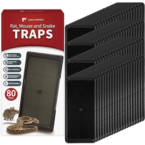 **The Ultimate Guide to Pest Traps: 5 Top Products Compared**