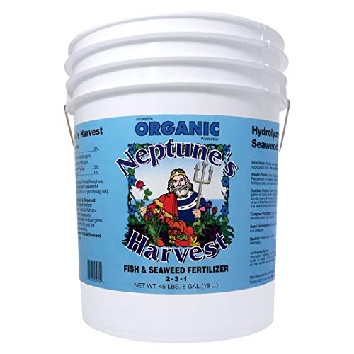 **5 Best Fish Emulsions for Gardeners in 2026**